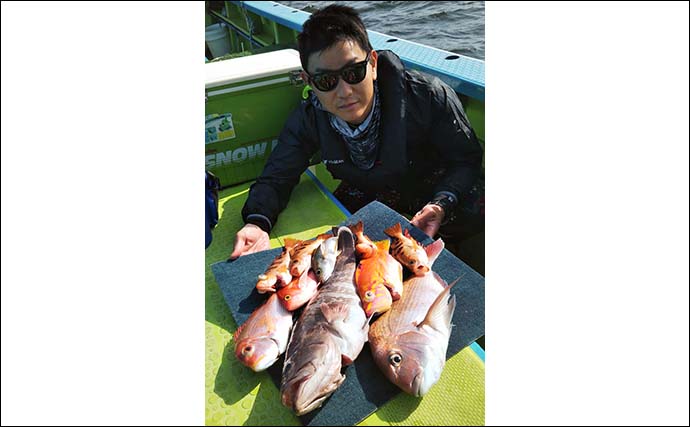 【関東2021】ウィリー五目釣りのキホン　多魚種を狙えて沖釣り入門にも