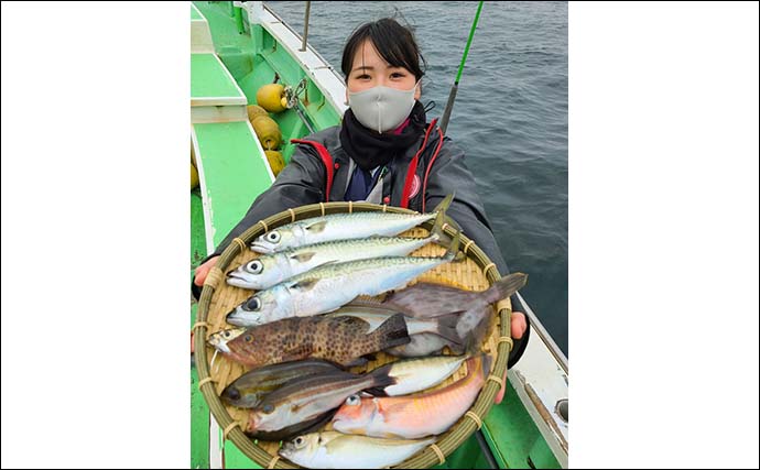 【関東2021】ウィリー五目釣りのキホン　多魚種を狙えて沖釣り入門にも