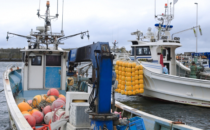 日本の漁獲量は30年前の『3分の1』にまで減少　漁業不振は温暖化のせい？