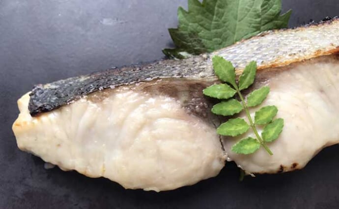 釣り人の強い味方「長期保存可能」サカナレシピ：ヒラマサの西京焼き