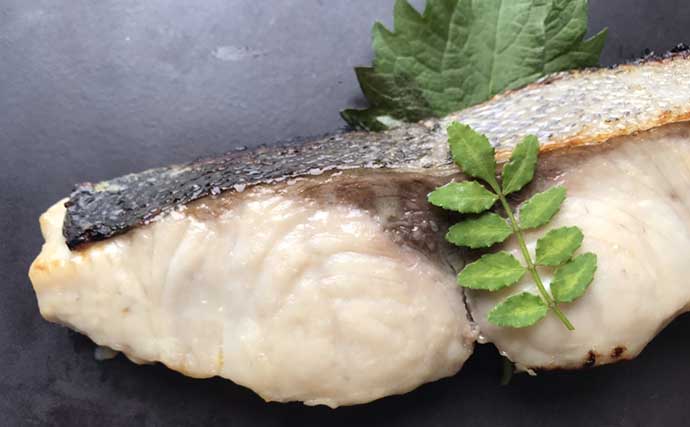 釣り人の強い味方「長期保存可能」サカナレシピ：ヒラマサの西京焼き