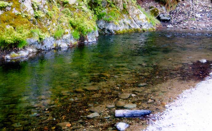 【2021山梨県】鮎トモ釣りオススメ河川：秋山川　ビギナーも釣りやすい