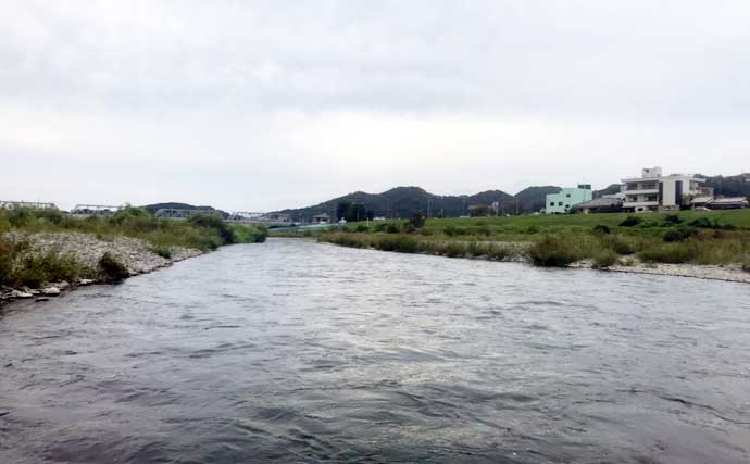 【2021栃木】鮎トモ釣りオススメ河川：渡良瀬川　後半に大アユ連発も
