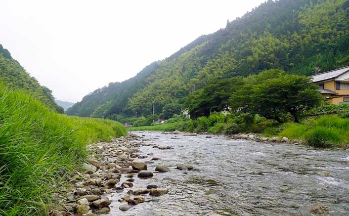 【2021静岡】鮎トモ釣りオススメ河川：興津川　流れ穏やかで釣りやすい
