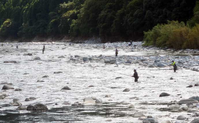 【2021兵庫】鮎トモ釣りオススメ河川：揖保川　35cm超の実績あり