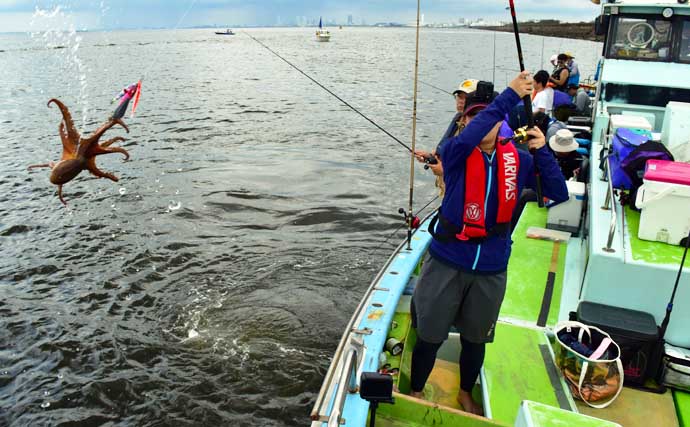 【東京湾2021】テンヤマダコ釣り初心者入門　タックル＆釣り方を解説