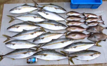 日本海の大物天国『玄達瀬』が解禁 完全フカセ釣りで狙うヒラマサ攻略法