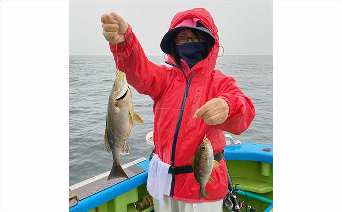 解禁直後の東京湾イサキ釣りで35cm良型　低活性時は「待ち」が重要？