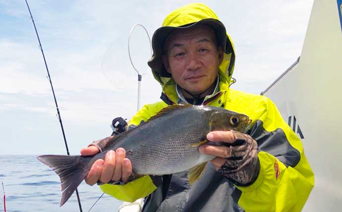 【愛知】沖のエサ釣り最新釣果　旬の大型抱卵イサキ高活性で狙い目