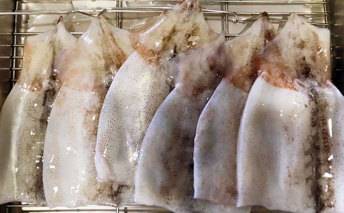 釣り人的特権レシピ：旬のムギイカを食べ尽くす　ワタを使った煮物