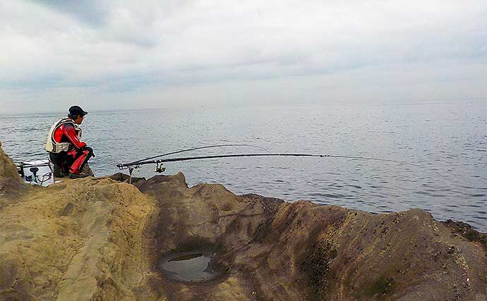 地磯でアオリ狙い泳がせ釣り　現地調達の小魚で本命900g【神奈川】