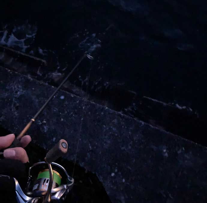 海のルアー釣りを始めよう：メバルを狙う「メバリング」ってどんな釣り？
