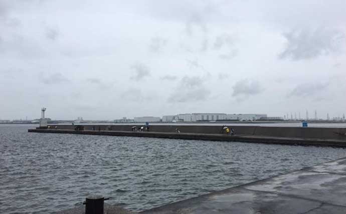 大阪湾「波止フカセチヌ』入門：代表的な3つの釣り場の特徴を押さえよう
