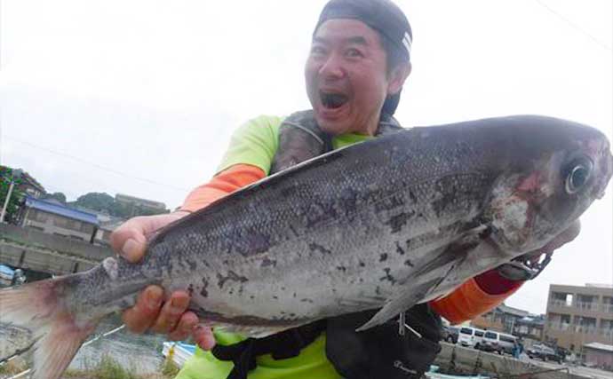 【愛知・三重】沖のエサ釣り最新釣果　レンタルボートでハタ類釣果上昇中