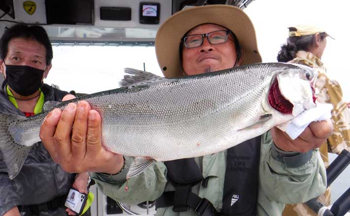 レイクトローリングでビワマス爆釣 ルアー＆タナの選定が的中【琵琶湖