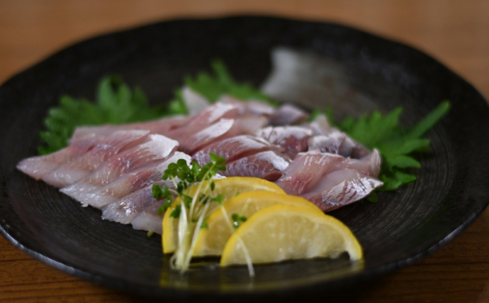 北海道で『ホッケ』が記録的豊漁　「刺身」は白身なのに青魚の風味？