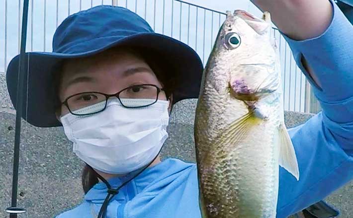 夫婦で 電車釣行 満喫 ちょい投げで3目達成 東京 若洲海浜公園 Tsurinews