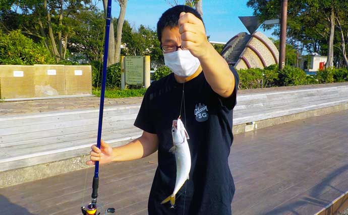 横須賀海辺釣り公園で夏の魚賑やか　タチウオ不発も満喫【神奈川】