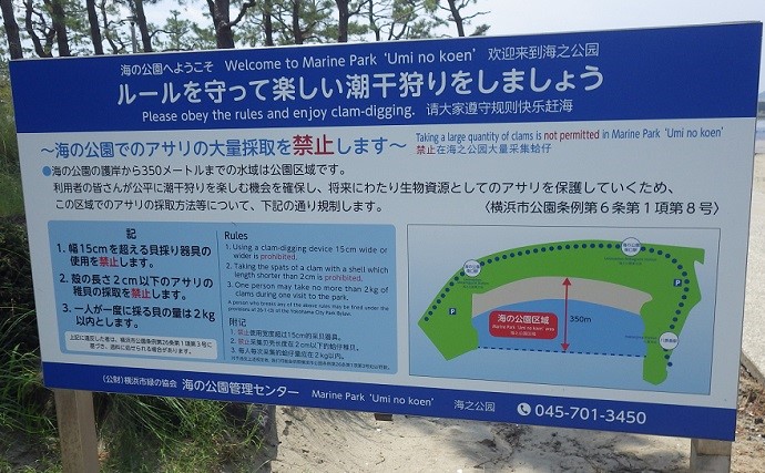 家族で潮干狩り満喫　アサリ1.7kgにツメタガイ27個【神奈川・海の公園】