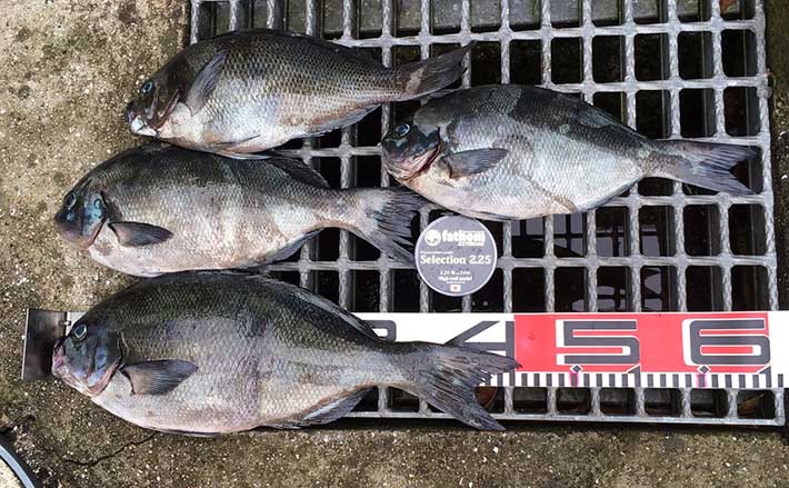 wpec656EC7B9-3C12-4ACA-A375-