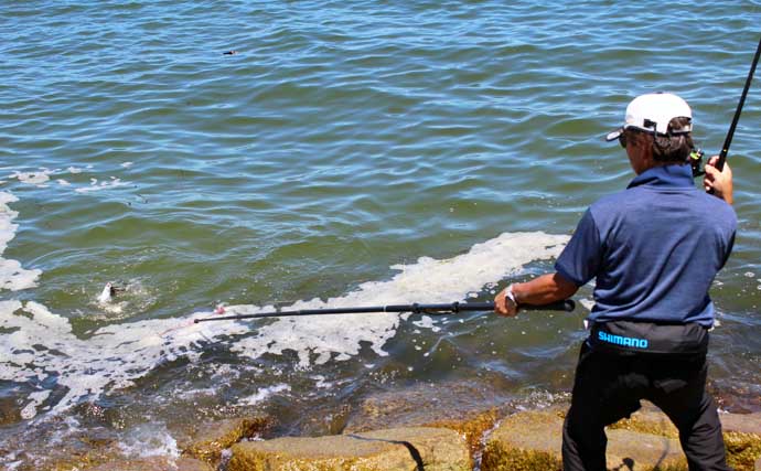 「山本太郎」の好釣果へのターニングポイント：渚釣りで43cm手中