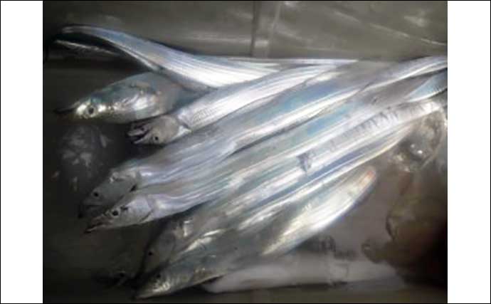 【愛知・三重】沖のエサ釣り最新釣果　60cm4.4kg頭にイシダイ30匹