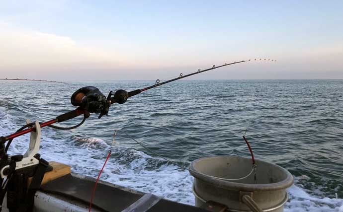 ビギナーが「魚の王様」マダイを釣るために：コマセ釣りが最適なワケ5選