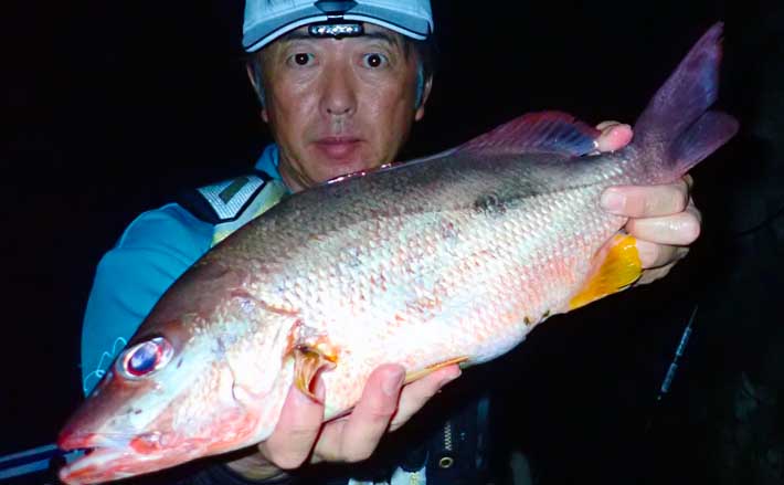 地磯からのカゴ釣りでアタリ連発 シブダイにタバメでクーラー満タン