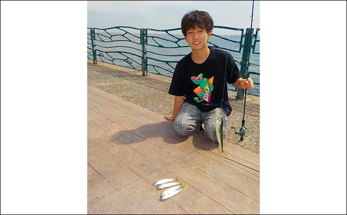 横須賀海辺釣り公園で夏の魚賑やか　タチウオ不発も満喫【神奈川】
