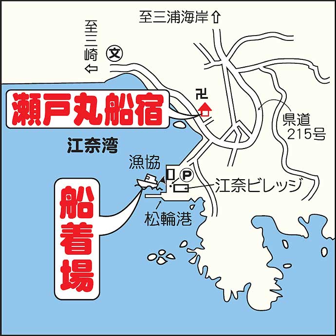 東京湾「コマセワラサ」釣り絶好調　トップ10尾超えで早上がりも