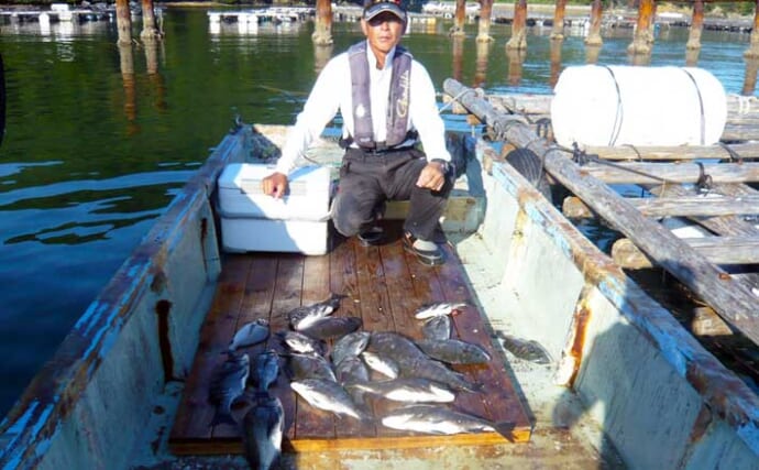 カカリ釣りで40cm頭にクロダイ22匹快釣　数釣り達成は濁りのおかげ？