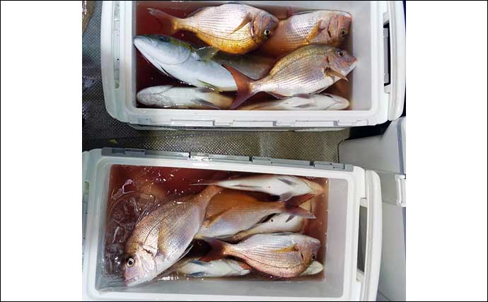 【福井】沖釣り最新釣果　イカメタル便のマイカ好調で釣る人60匹