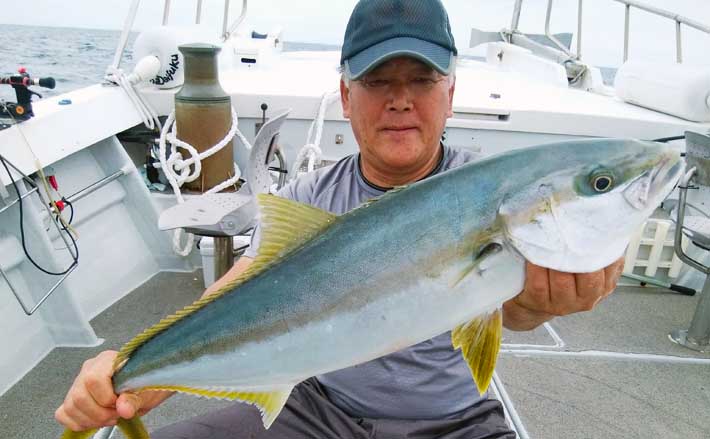 落とし込み釣りでヒラマサやブリ乱舞 船中青物30尾にアコウなども