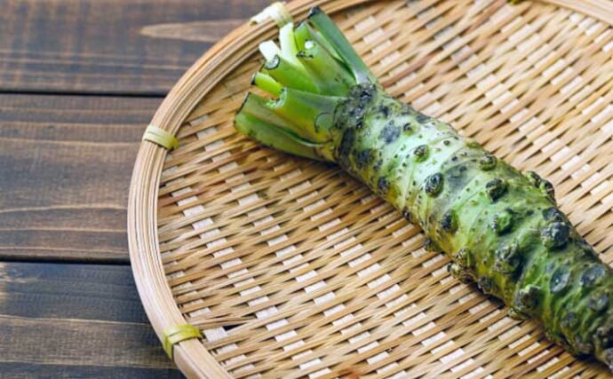 寿司に入れるワサビの元々の役割は「殺菌」 最近はサビ抜きが標準化？ | TSURINEWS