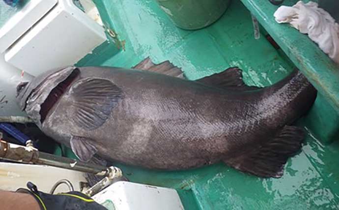 深海の大物『アブラボウズ』釣りで90kg級モンスター頭に船中11尾