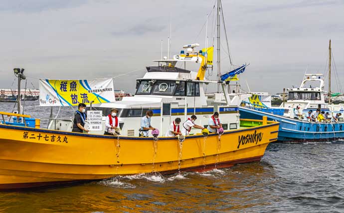 東京湾でカサゴの稚魚3万尾を放流　環境保全のために遊漁船5隻が協力