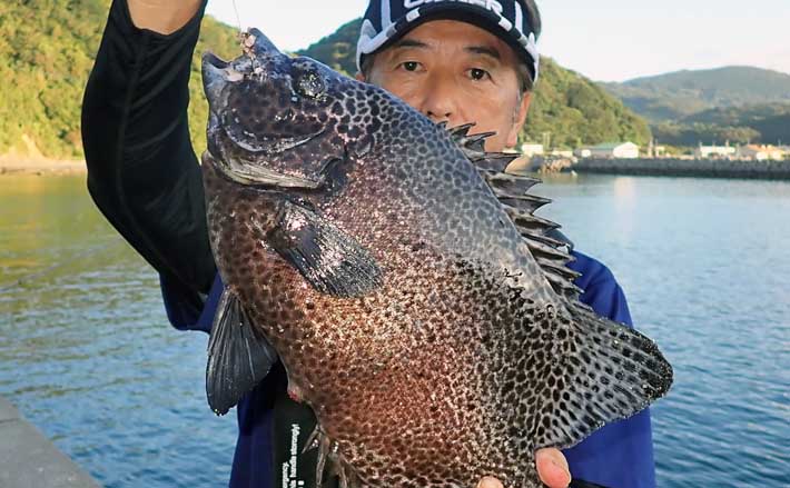 バフンウニ 釣り餌用 4キロ弱 - フィッシング