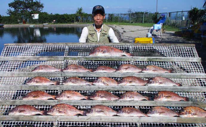 【愛知・三重】海釣り施設最新釣果　イカダ釣りで良型含めクロダイ活況