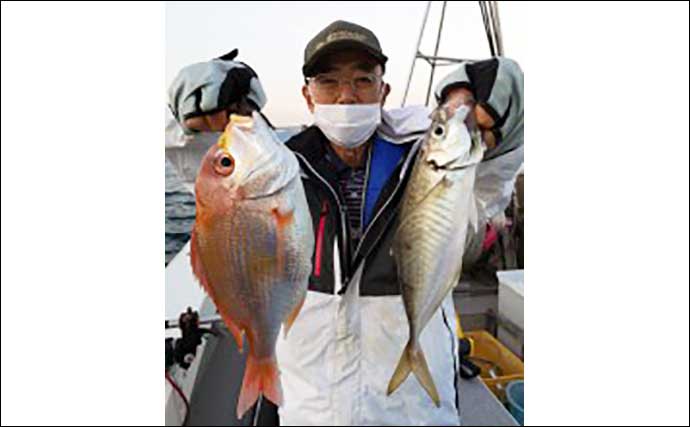 【福井】沖釣り最新釣果　半夜便のスルメイカ大爆釣で釣る人108匹