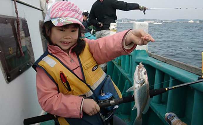 東京湾イシモチ釣りで良型20匹　イソメにまさかのタチウオがヒット？