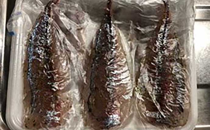 釣り人的「食品ロス」削減レシピ　大衆魚代表アジで作る『生ハム』