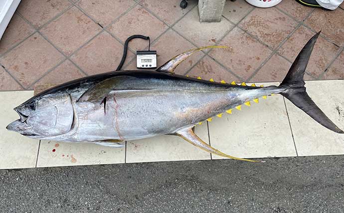 コマセマグロ釣りで52.8kg『瀬の海モンスター』　未体験の激闘を制す
