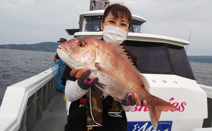 週間日本の魚釣り 1〜209号 週間日本の魚釣り 1〜209号 週間日本の魚釣り 1〜209号 【