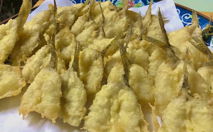 【釣魚レシピ】ハゼの天ぷら　子どもの魚嫌い解消のキッカケにも？