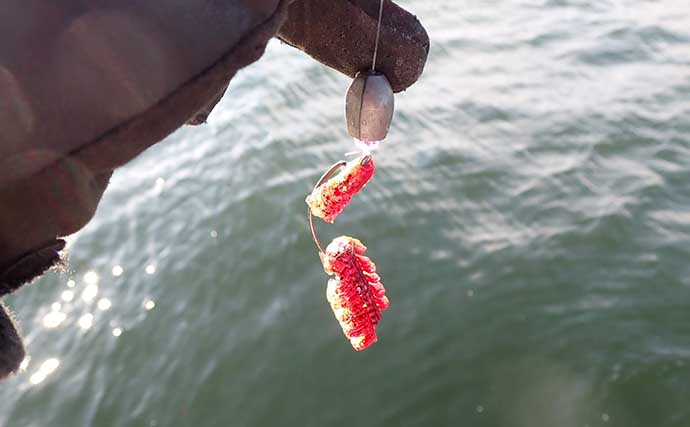 厄介な『サバフグ』が大量発生中　ルアー釣りへの被害と対策法3選