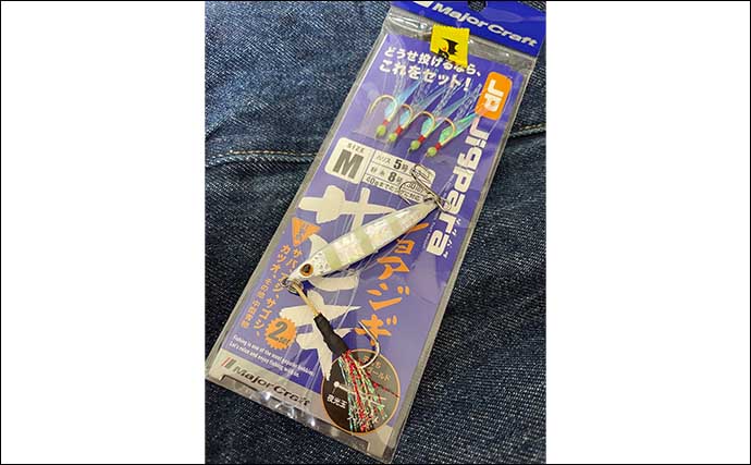 初心者の味方 ジグサビキ のキホン ターゲットと有効な使い方とは Tsurinews