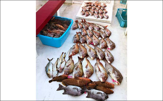 【福岡】沖のエサ釣り最新釣果　ひとつテンヤでマダイ船中80匹と好機