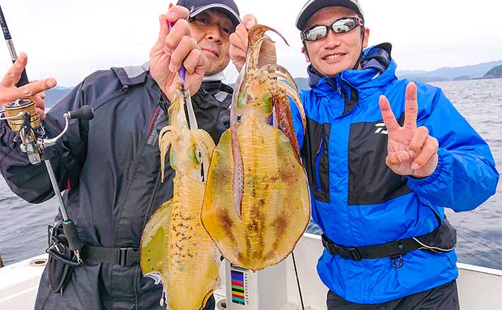 ティップランエギングでアオリイカ全員安打 サビキでカマスのお土産も