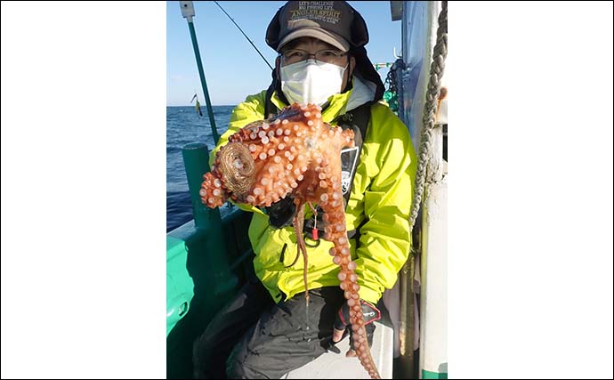 鹿島沖のエギタコ釣りで正月用マダコ好捕　活性低めも2kg級頭に型揃い