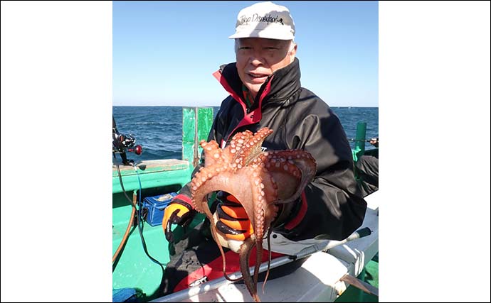 鹿島沖のエギタコ釣りで正月用マダコ好捕　活性低めも2kg級頭に型揃い